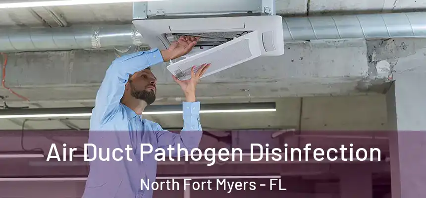  Air Duct Pathogen Disinfection North Fort Myers - FL