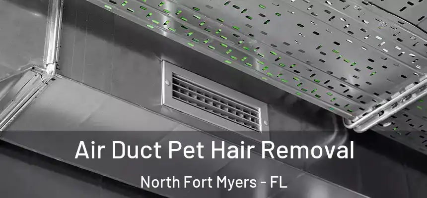  Air Duct Pet Hair Removal North Fort Myers - FL