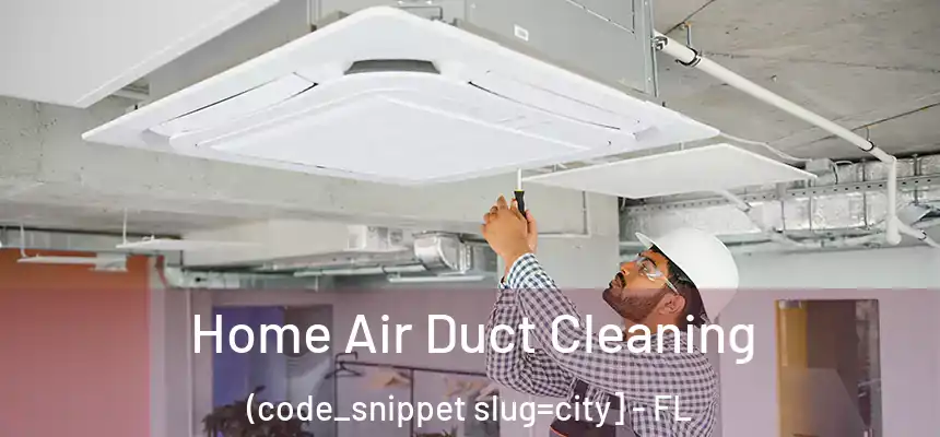  Home Air Duct Cleaning (code_snippet slug=city] - FL