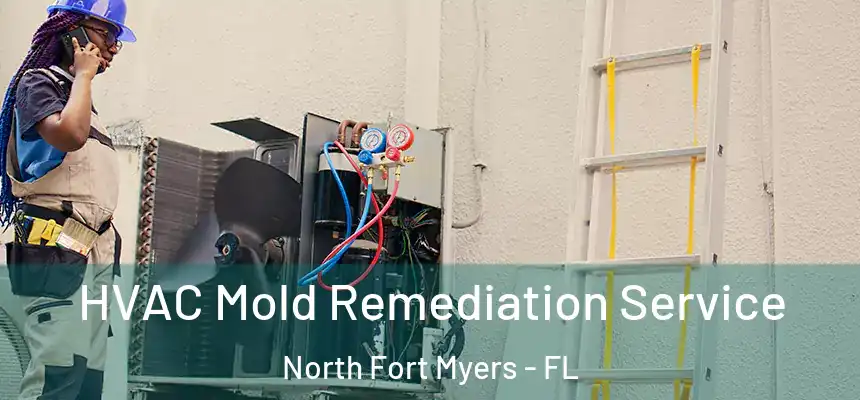  HVAC Mold Remediation Service North Fort Myers - FL