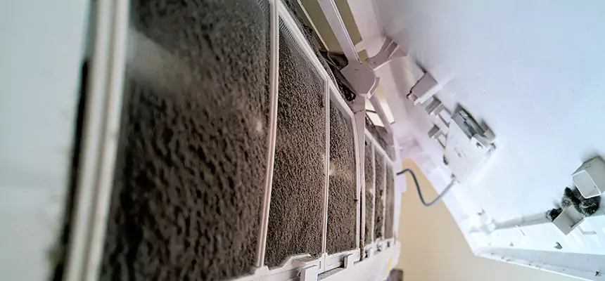 Preventive Air Duct Bacteria Removal in North Fort Myers