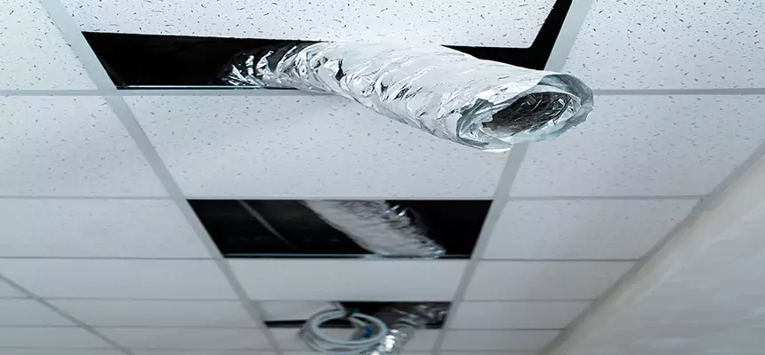 Our Air Duct Pet Hair Removal Services in North Fort Myers, FL