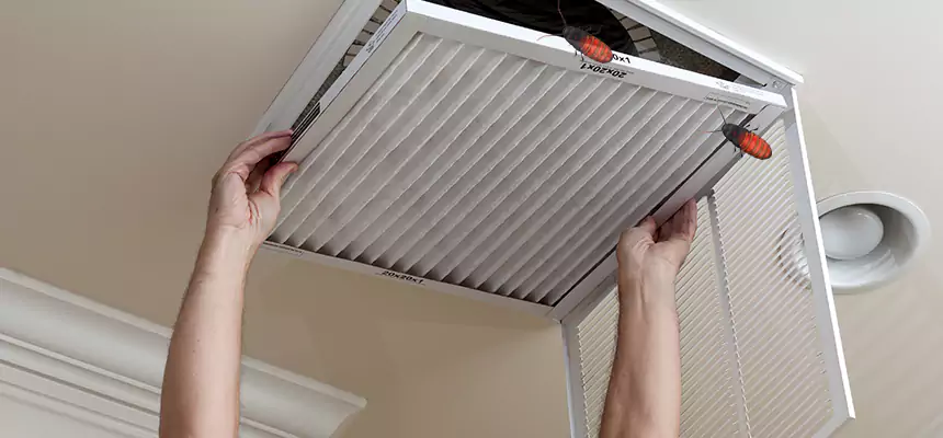 Our Insect Removal from Air Ducts Services in North Fort Myers, FL