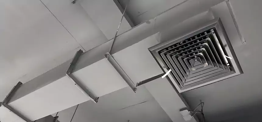 Our Rodent Droppings In Vents Services in North Fort Myers, FL