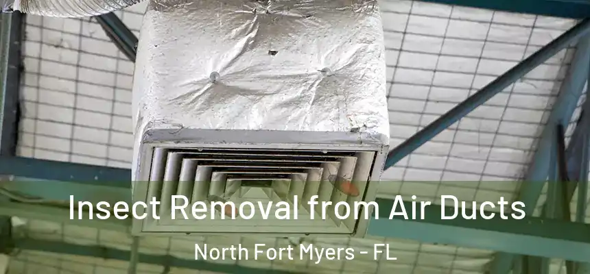  Insect Removal from Air Ducts North Fort Myers - FL