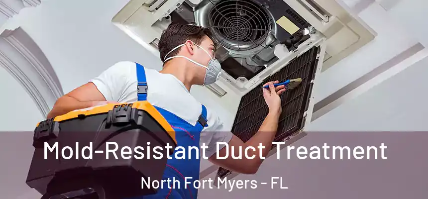  Mold-Resistant Duct Treatment North Fort Myers - FL