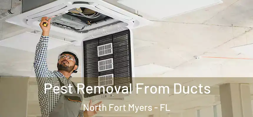  Pest Removal From Ducts North Fort Myers - FL