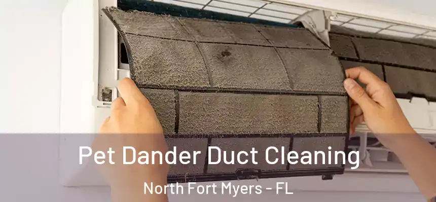  Pet Dander Duct Cleaning North Fort Myers - FL