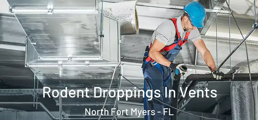  Rodent Droppings In Vents North Fort Myers - FL