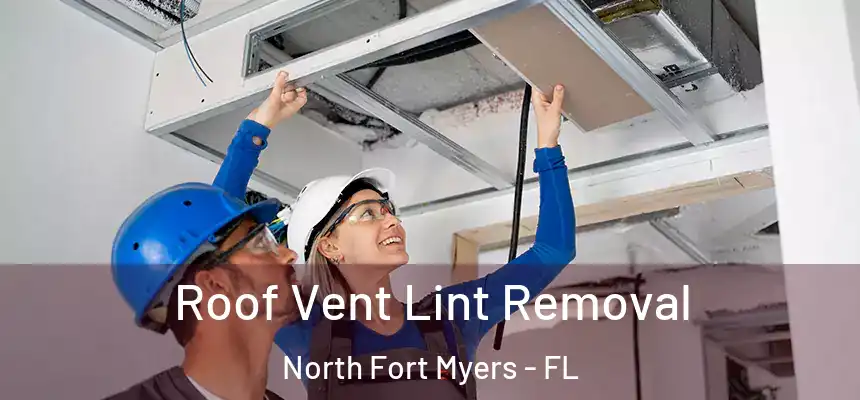  Roof Vent Lint Removal North Fort Myers - FL