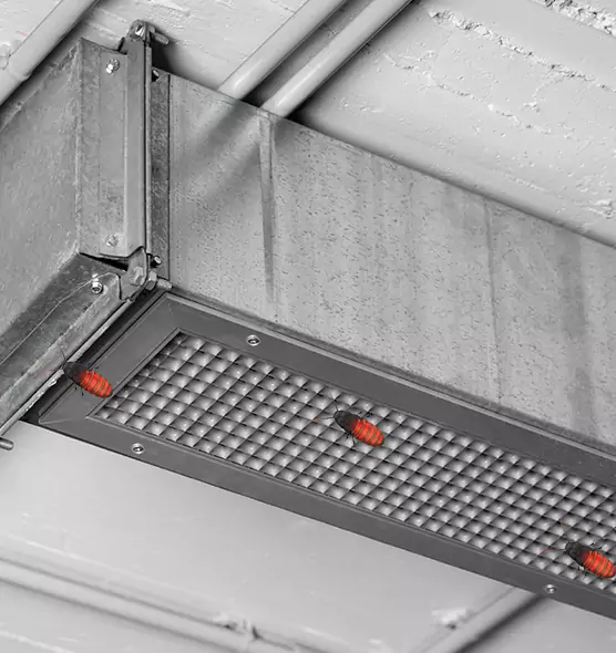 Affordable Insect Removal from Air Ducts in North Fort Myers, FL