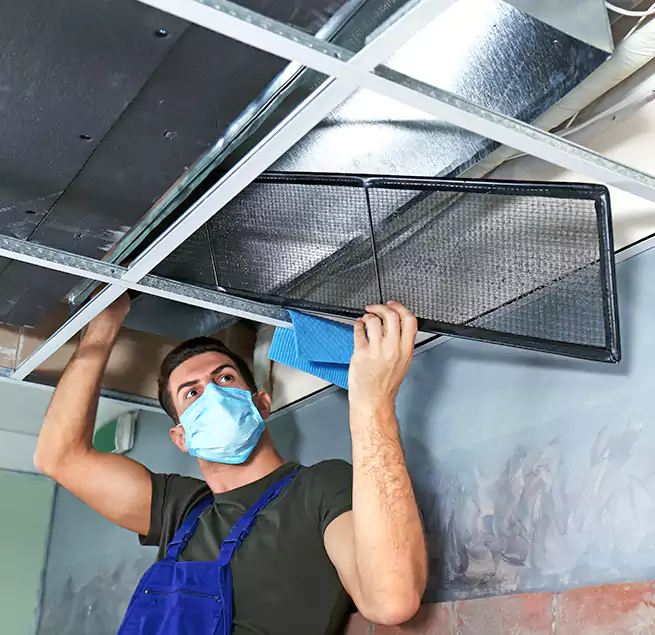 Why Homeowners Businesses Trust Us in North Fort Myers, FL